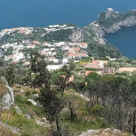 Il Paradiso Degli Dei 2