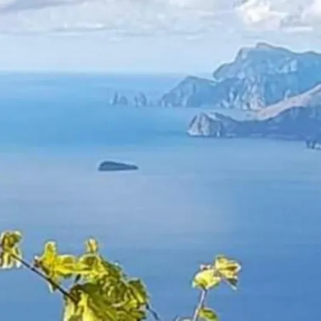 Il Paradiso Degli Dei 2 *