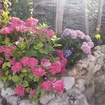 Il Paradiso Degli Dei 2