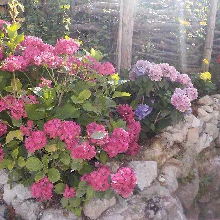 Il Paradiso Degli Dei 2