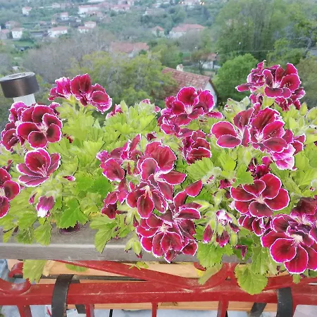 Il Paradiso Degli Dei 2 Апартаменты *