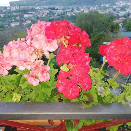 Il Paradiso Degli Dei 2