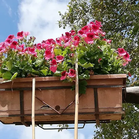 Il Paradiso Degli Dei 2 阿杰罗拉