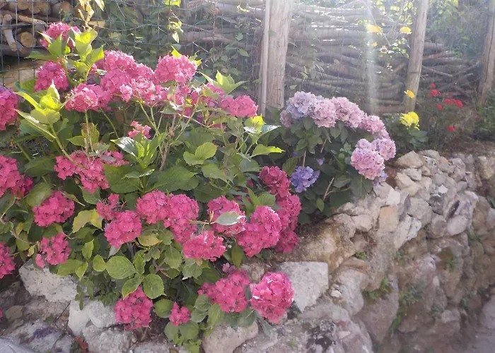 Il Paradiso Degli Dei 2