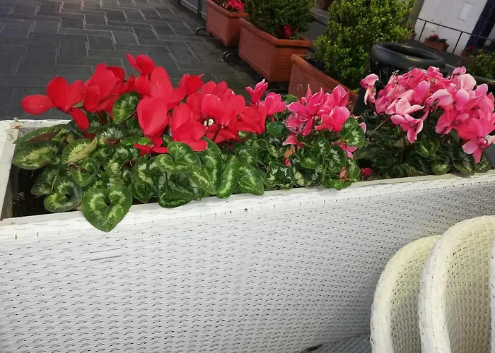 Il Paradiso Degli Dei 2 * アジェーロラ