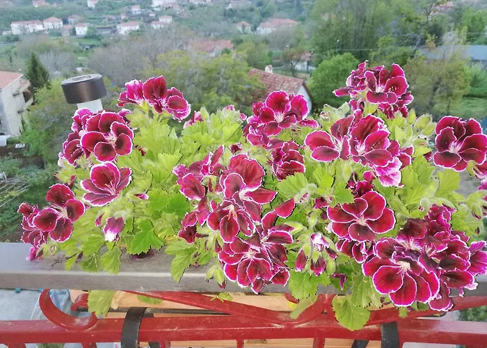 Il Paradiso Degli Dei 2 アパート *