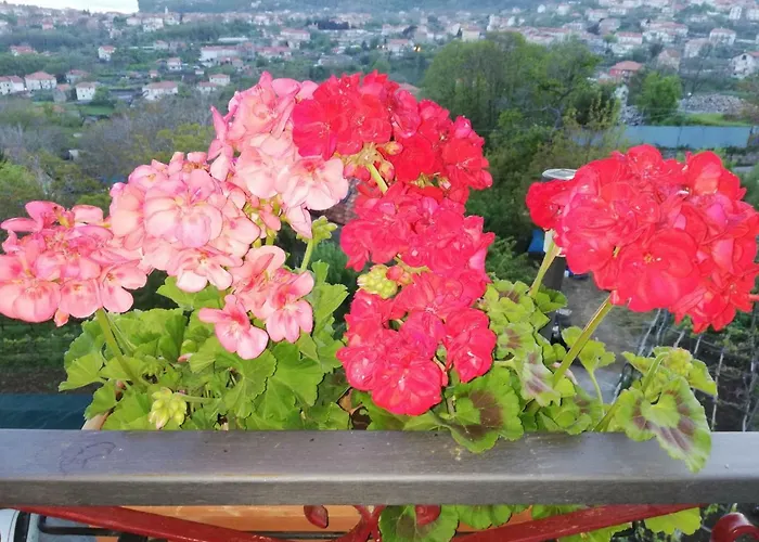 Il Paradiso Degli Dei 2