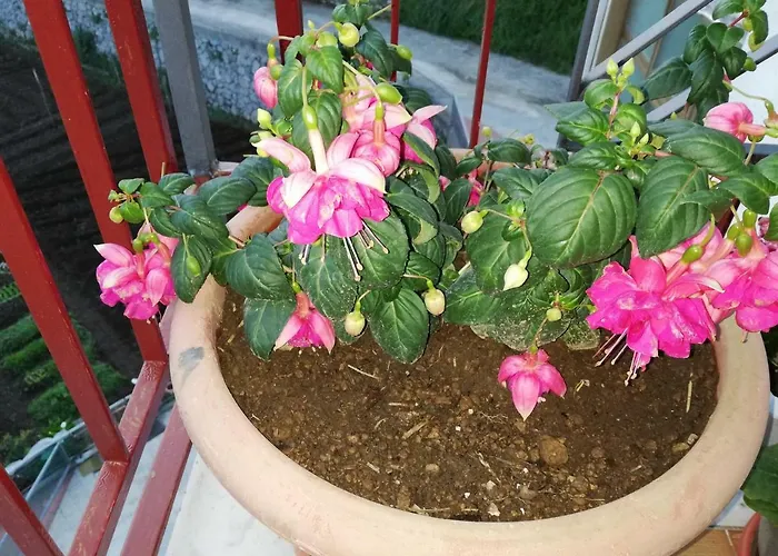 Il Paradiso Degli Dei 2 アパート *